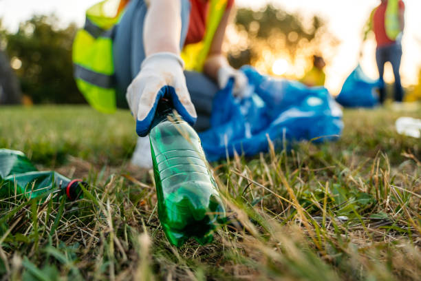 Yard Cleanup Services in San Luis Obispo, CA